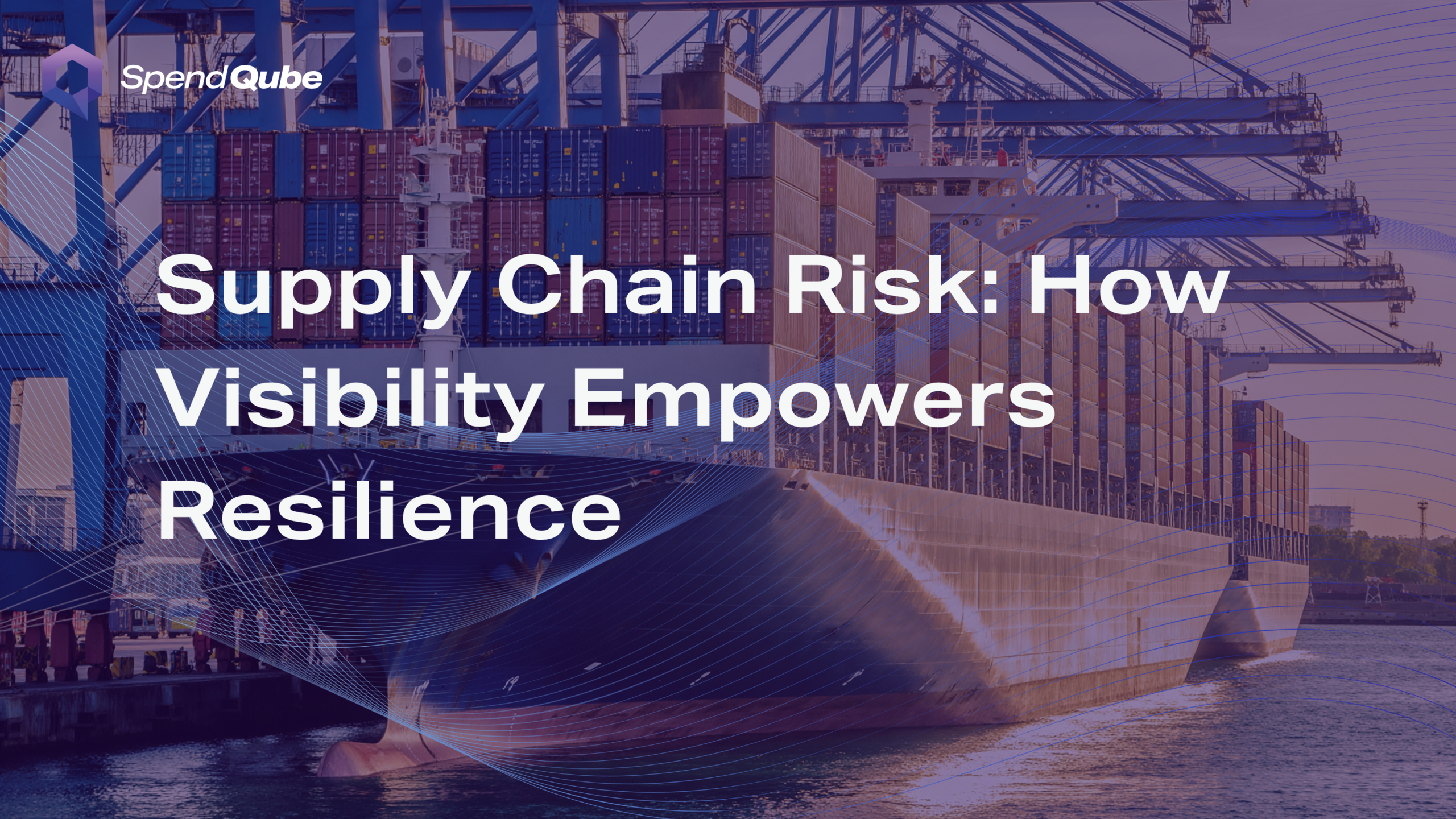 Supply chain risk